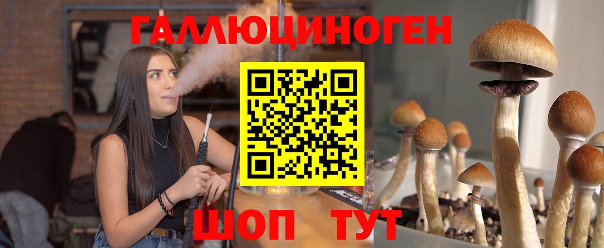 Галлюциногенные грибы Magic Shrooms  Вход с VPN  Псилоцибиновые грибы мицелий  Шарыпово 